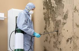 Best Comprehensive Air Testing for Mold Contaminants in Guin, AL